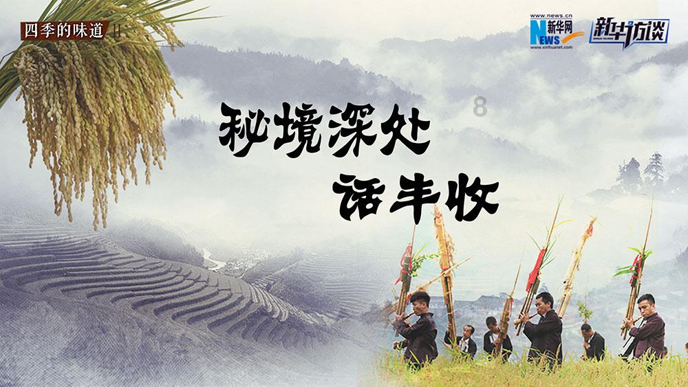 天天趣抓
