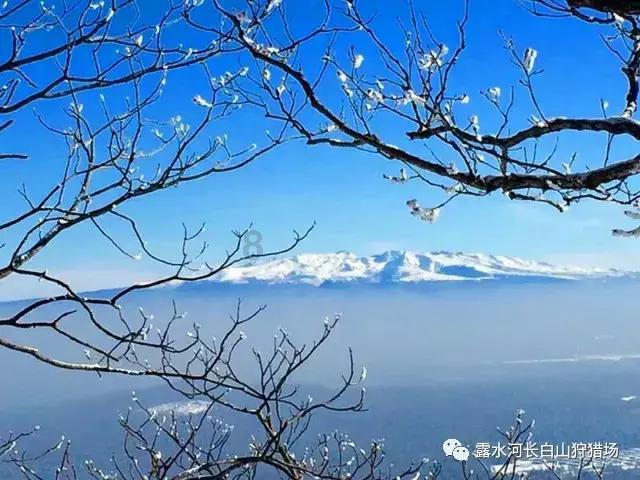 全面解答问答疑惑,尽在烟雨江湖追寻神秘人顺着血迹找到神秘人