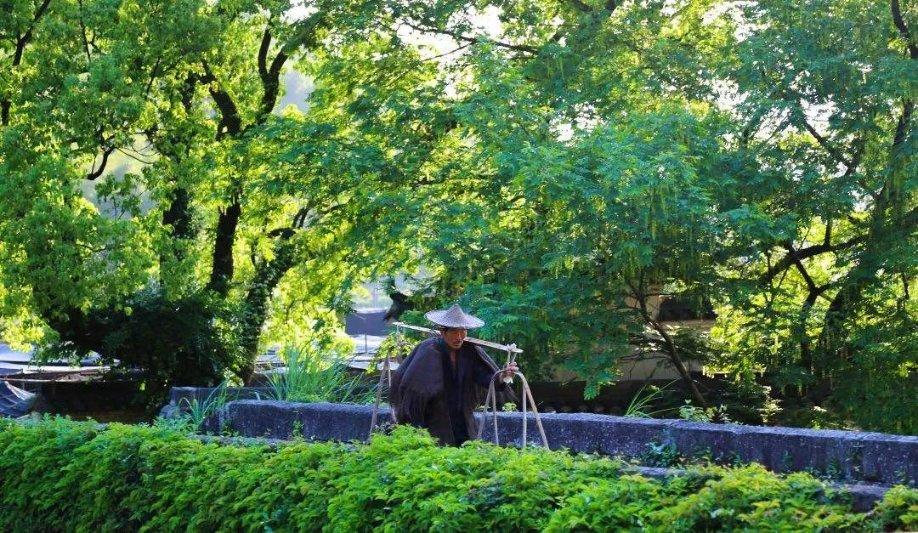 沉香线香怎么鉴别好坏？无粘粉线香比普通线香好吗？