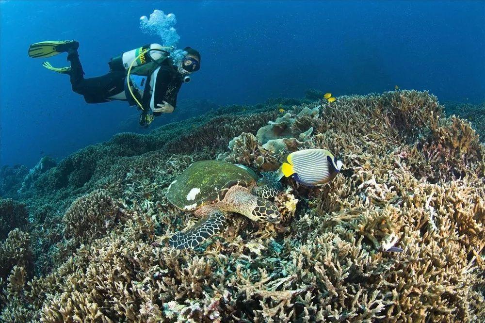 湘西州文化旅游广电局召开退休人员迎新春座谈会