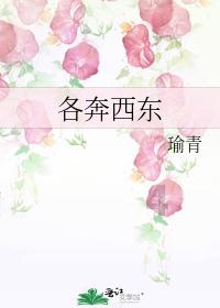 集邮者的收藏