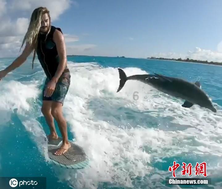 逗小猴开心系列206