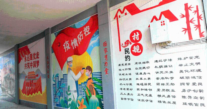 植物大战僵尸21