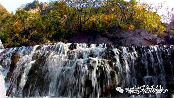 【创新智城 品质金水】快快乐乐游金水 开开心心过大年