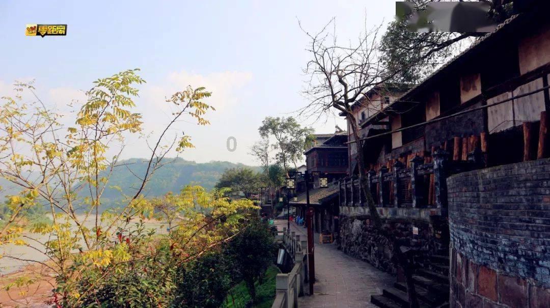 黑枸杞的功效和吃法怎样？游戏画面